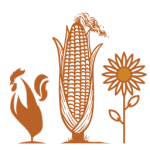 Africa Eats logo