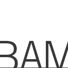 BAM Elevate logo