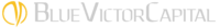 Blue Victor Capital logo