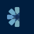 Blume Ventures logo