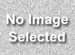Boyle Capital logo