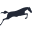 Carousel Capital logo