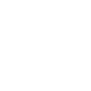 Cloverlay logo