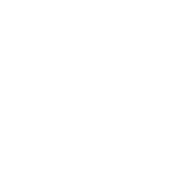 Cornell Capital logo