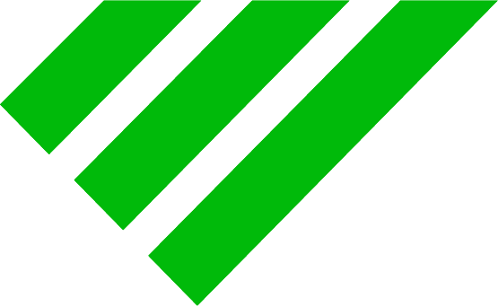Endurance Companies logo