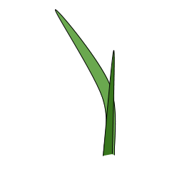 First Leaf Capital logo