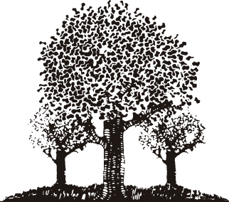 Forest Properties Management logo