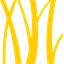 Gaorong Capital logo