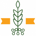 Grow-NY logo