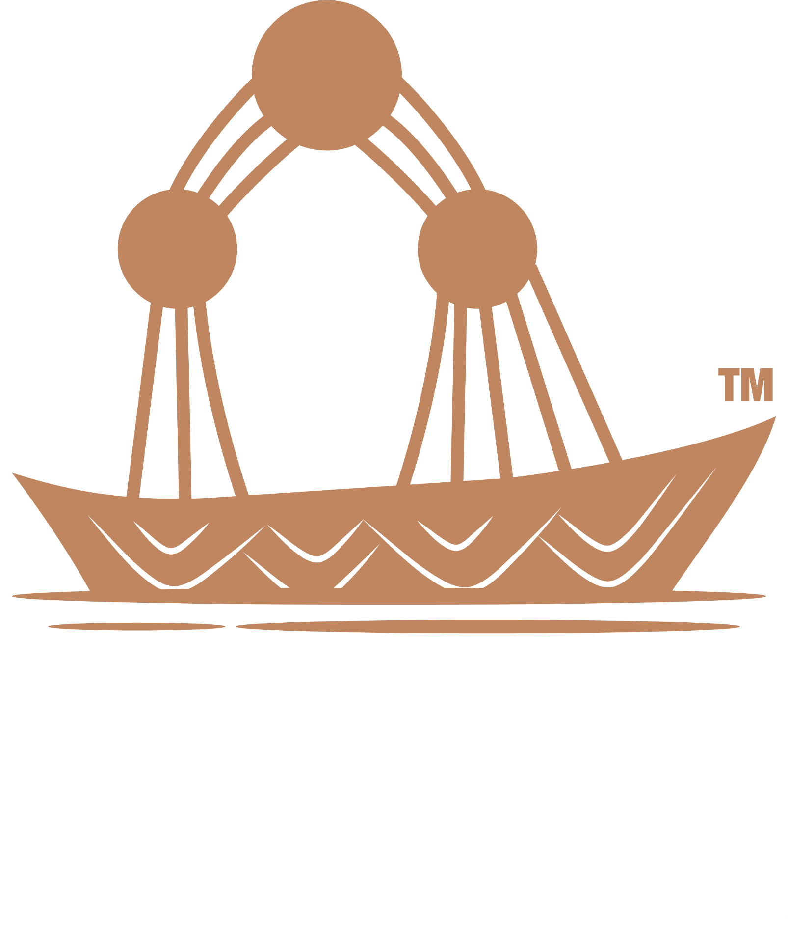 Idrisi Ventures logo