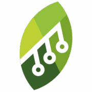 Kielo Growth logo