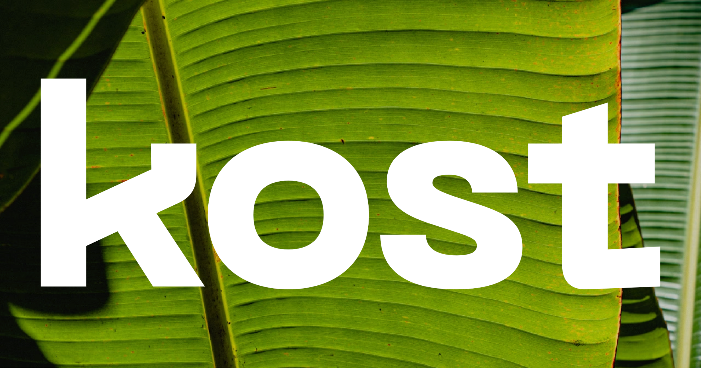 Kost Capital logo
