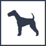 Lakeland Capital logo