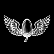 Marchmont Ventures logo