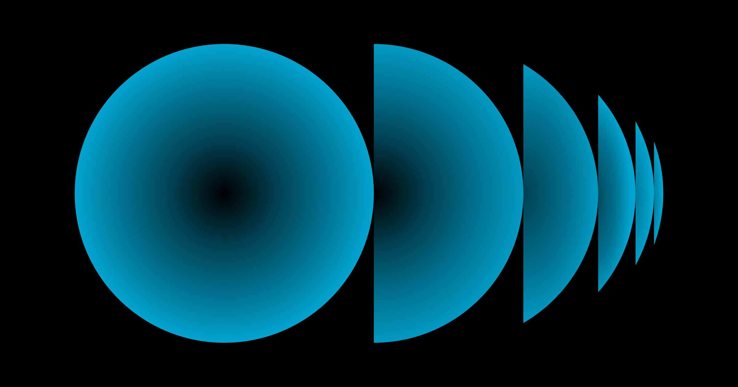 Markus Lehmann logo