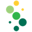 MDV logo