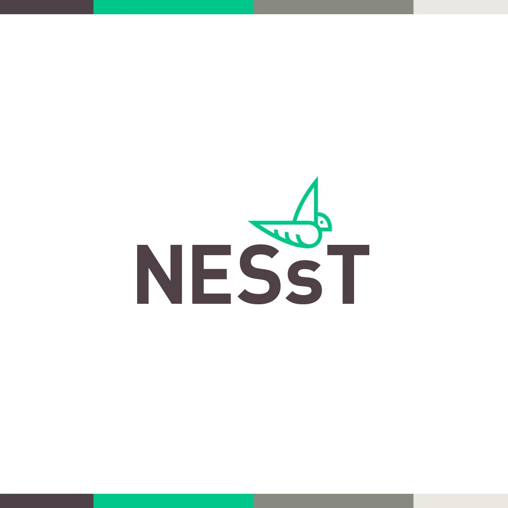 NESsT logo