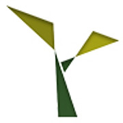 NevaTeam Partners logo