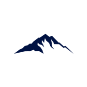 North Palisade Partners logo