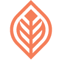 RSN Property Group logo