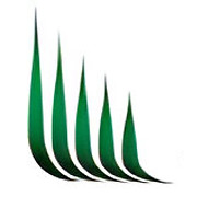 Seed One logo
