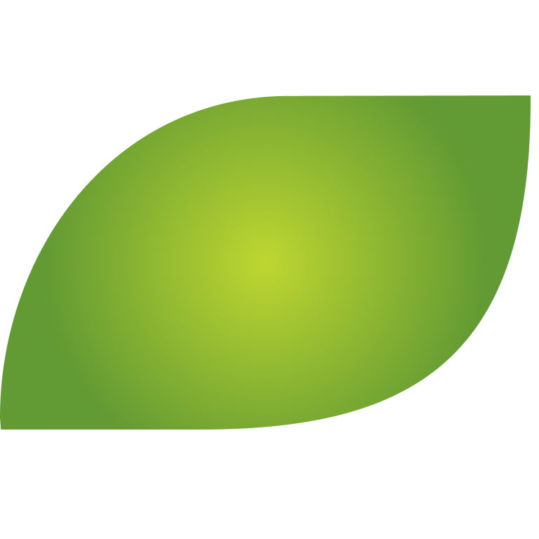 Sing Fuels logo