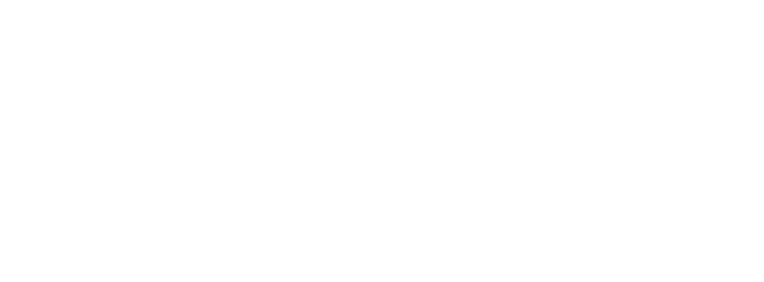 SLM Partners logo
