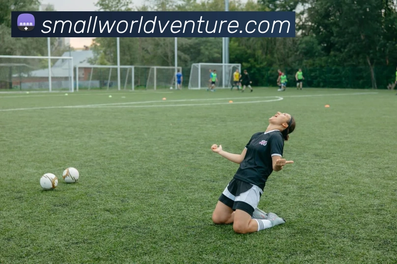 SmallWorld Venture logo