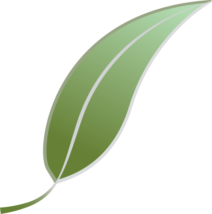 Smartleaf Asset Management logo