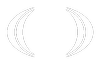 Spring Tide Capital logo