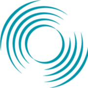 STARS REI logo