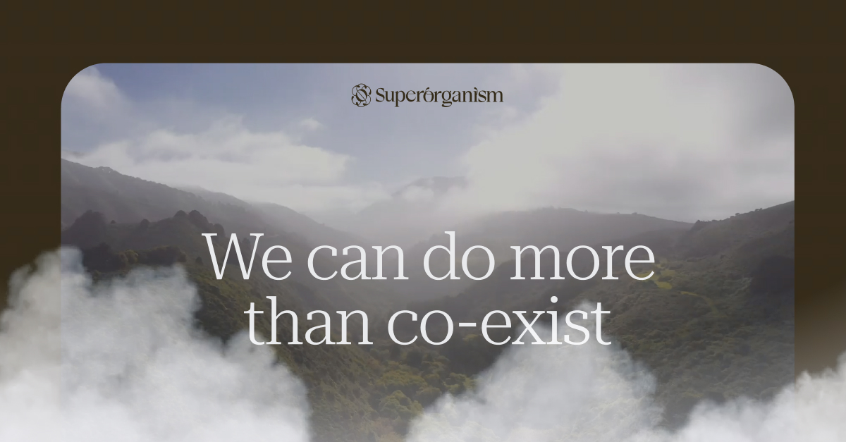 Superorganism logo