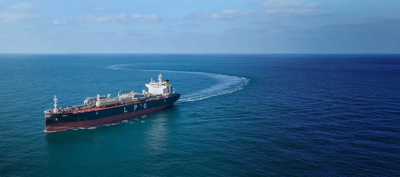 Synergy Marine logo