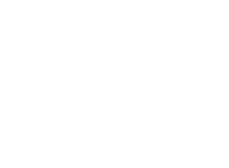 The Medici Group logo