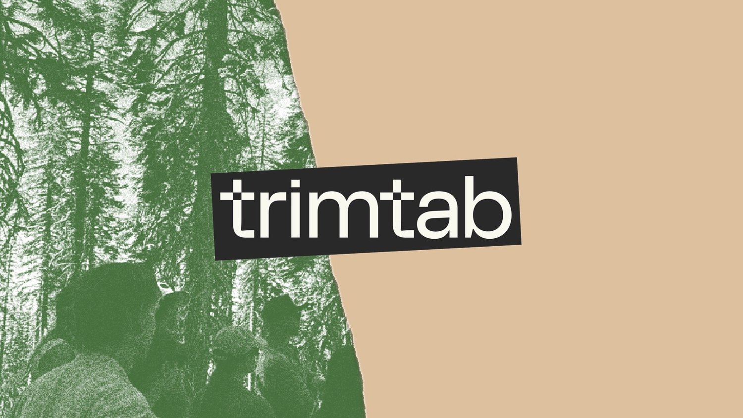 Trimtab Impact logo
