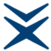 Tsuneshi Capital Partners logo